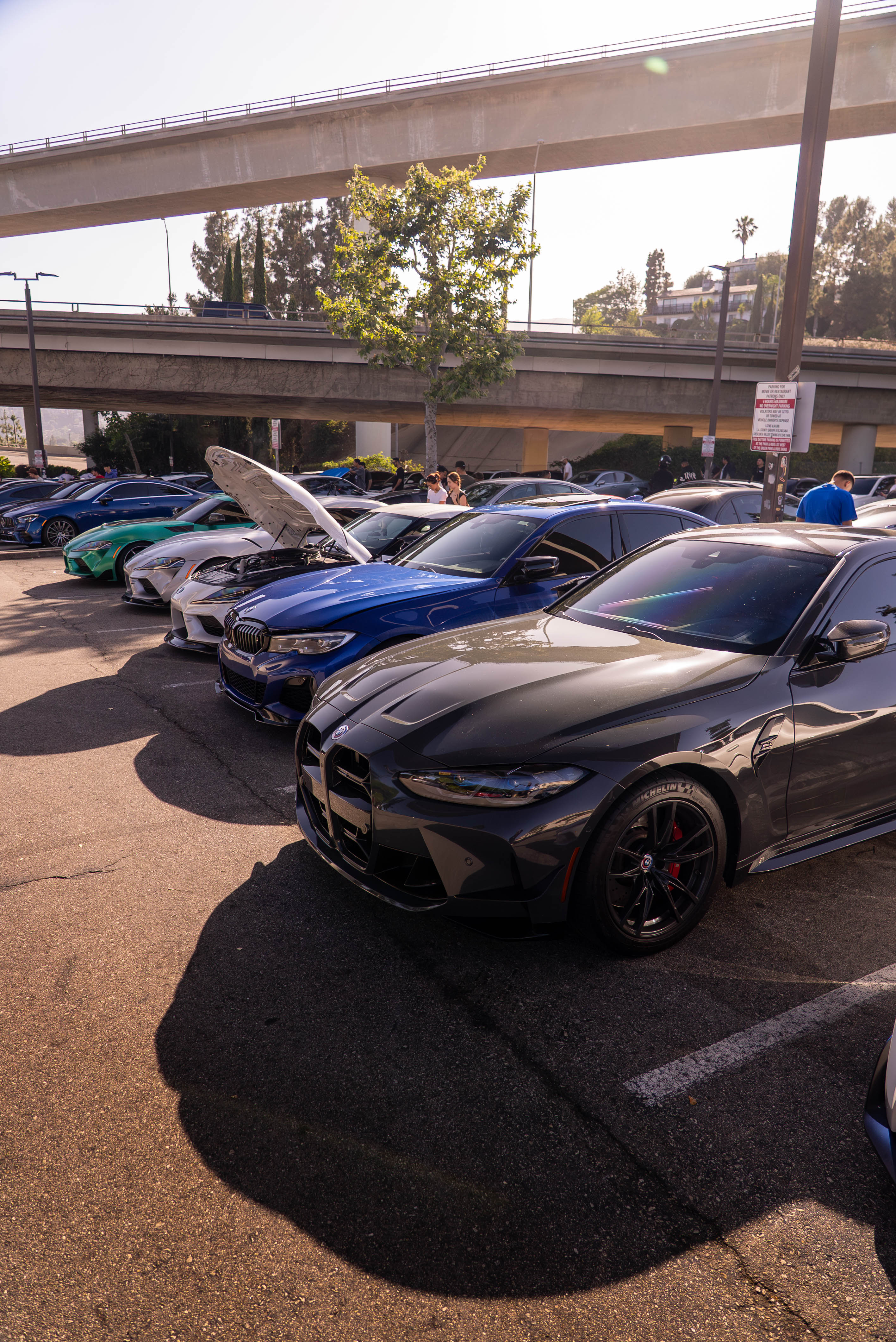 Canyons 01 – Sunset canyon run portrait